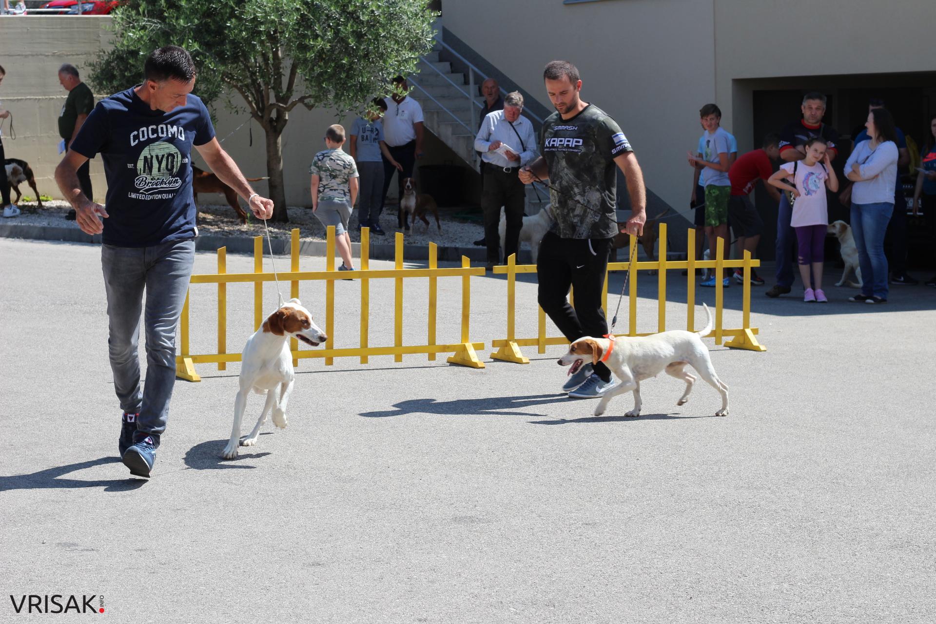 FOTO: Održana revija pasa u Širokom Brijegu