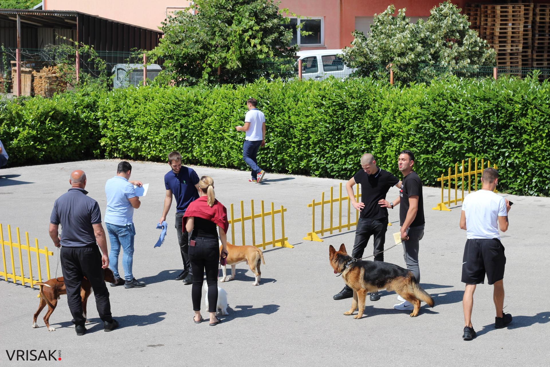 FOTO: Održana revija pasa u Širokom Brijegu