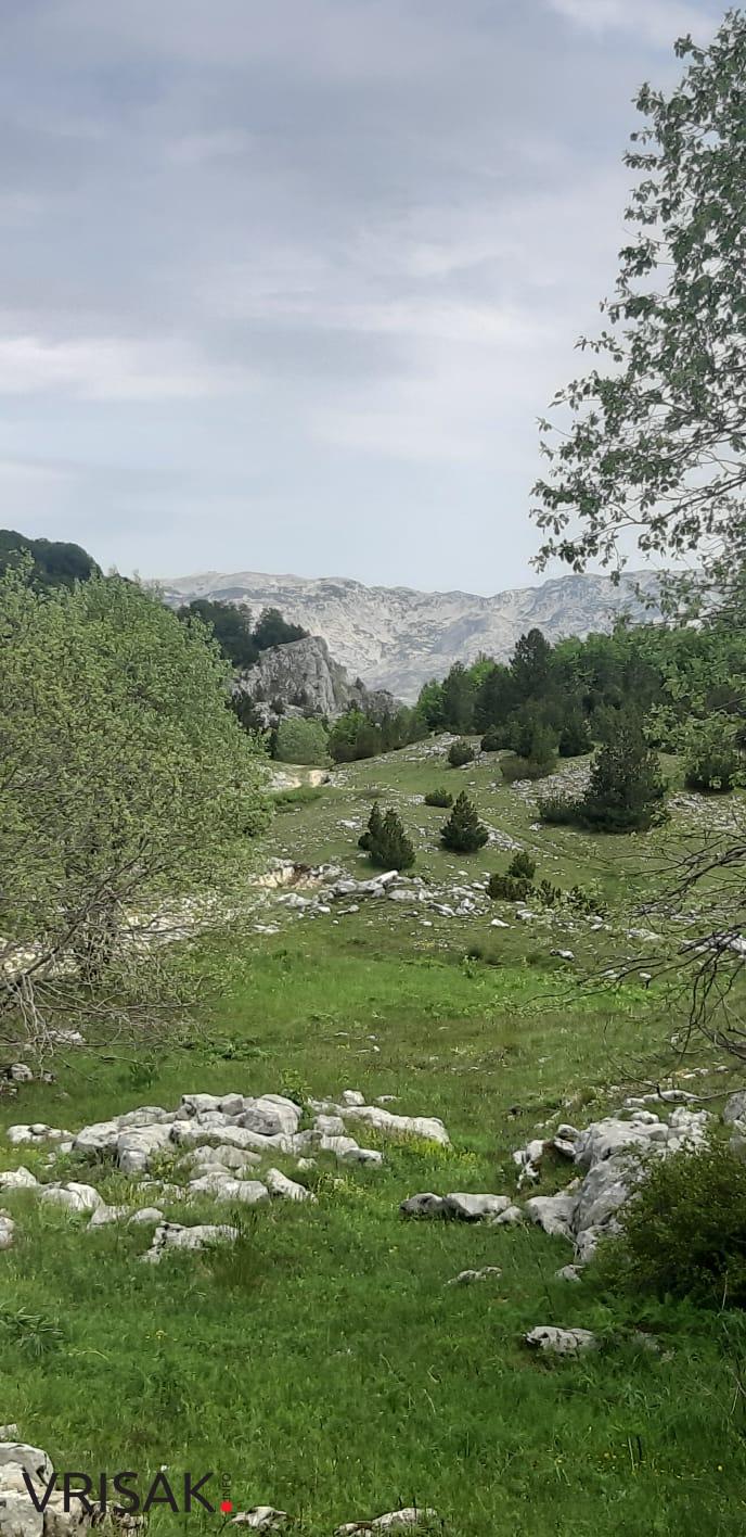 Četiri Širokobriježanina pješačila od Borka do Risovca (FOTOGALERIJA)