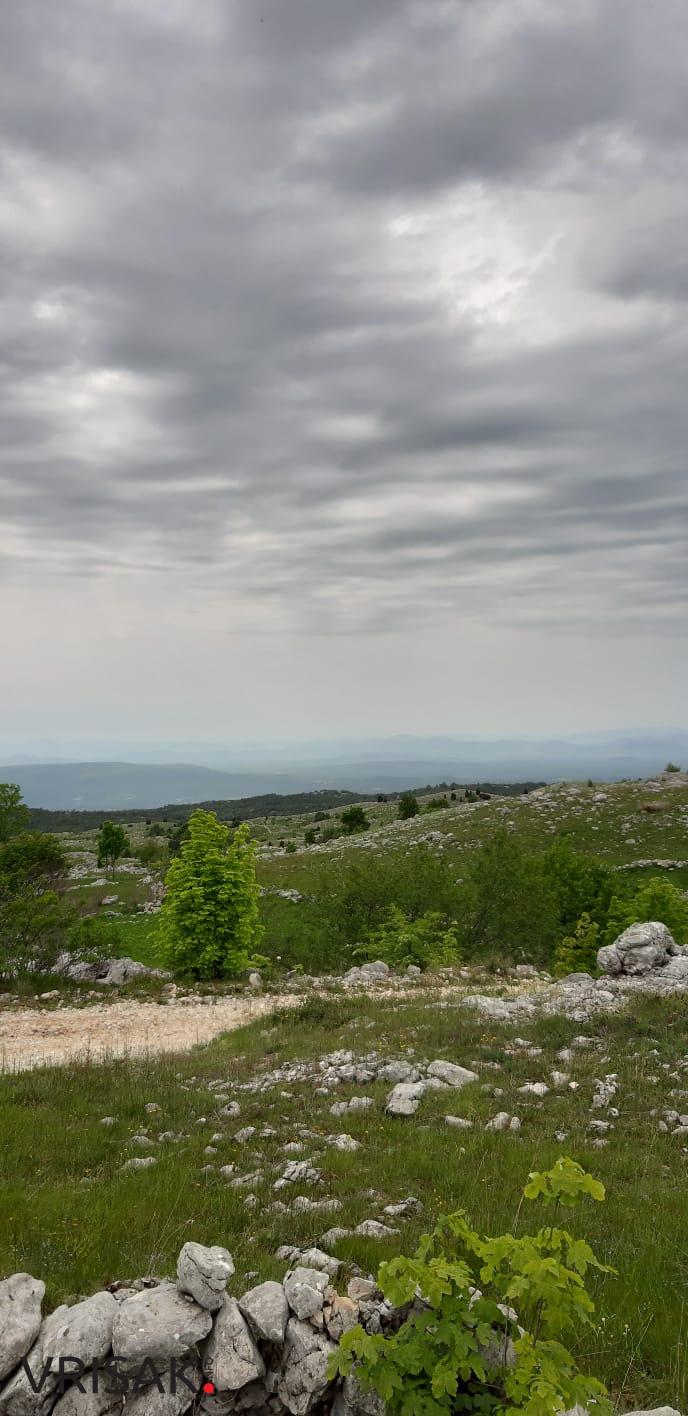 Četiri Širokobriježanina pješačila od Borka do Risovca (FOTOGALERIJA)
