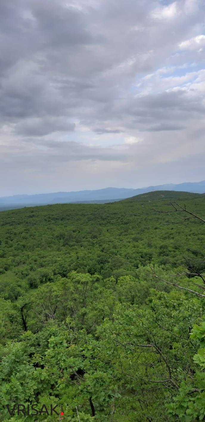 Četiri Širokobriježanina pješačila od Borka do Risovca (FOTOGALERIJA)