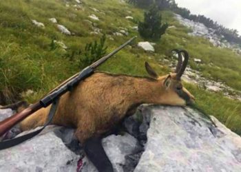 Apel posjetitelja: Spriječimo krivolov na Blidinju koji svakodnevno ugrožava životinje ali i ljude