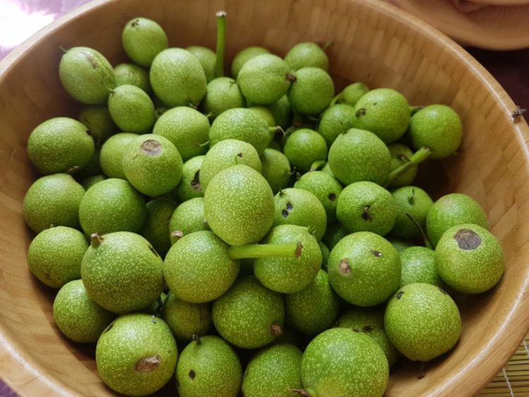 Orah – Lijek za želudac i štitnjaču, probleme usne šupljine, upalu grla i bronhitis