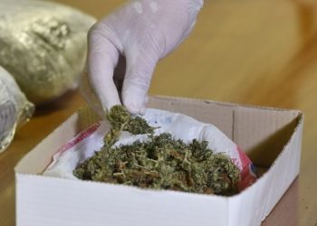 Imoćanin poslao 16 kg marihuane autobusom