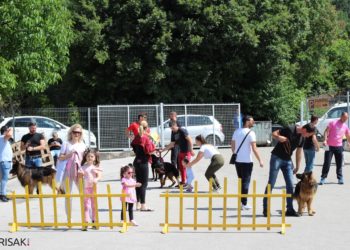 Kinološki savez HB: Prihodi su nam pali za 98 posto, ali nismo na popisu za pomoć