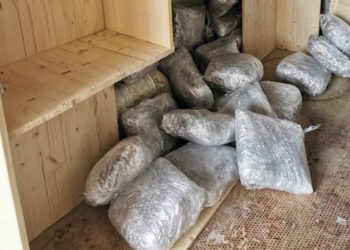 Crnogorac uhićen pri izlasku iz BiH, pokušao prokrijumčariti 55 kilograma marihuane