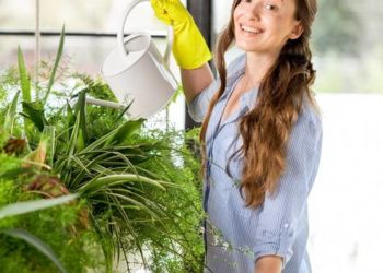 Pet razloga zašto vam lišće žuti na biljkama i kako to spriječiti