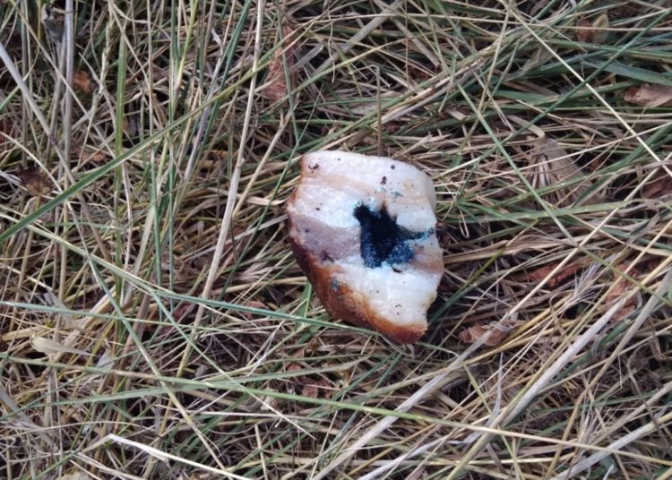 Ljudoliki manijak ubija po Vojnićima: Za usmrćivanja koristi zabranjeni bojni otrov