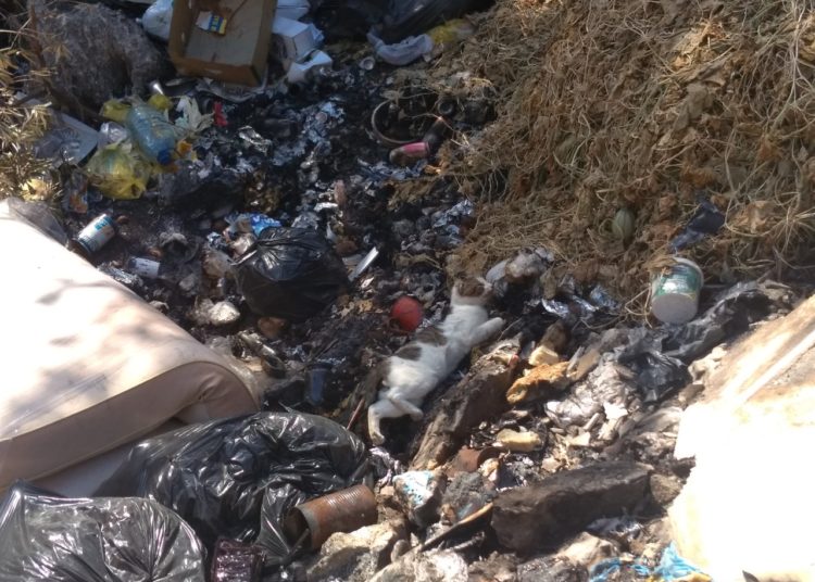 Ljudoliki manijak ubija po Vojnićima: Za usmrćivanja koristi zabranjeni bojni otrov