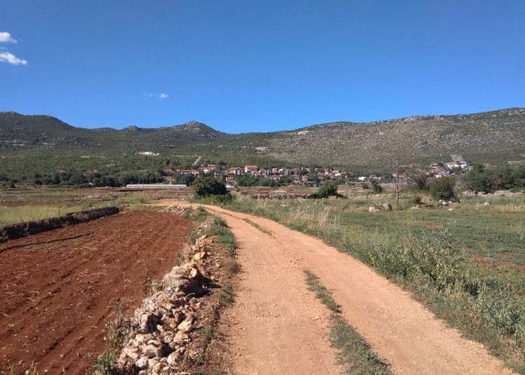 Ljudoliki manijak ubija po Vojnićima: Za usmrćivanja koristi zabranjeni bojni otrov