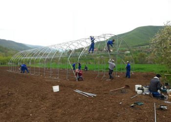 Ljubuški: U selima se postavljaju plastenici vrijedni 300.000 KM