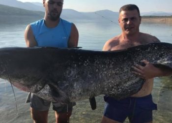 Ulovili soma od čak 92 kilograma!