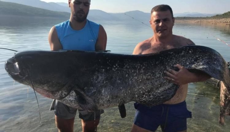 Ulovili soma od čak 92 kilograma!