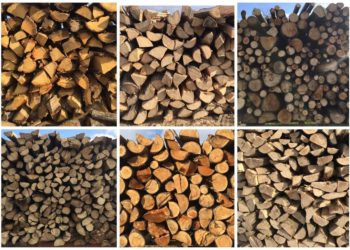 Narasla proizvodnja ogrjevnog drva