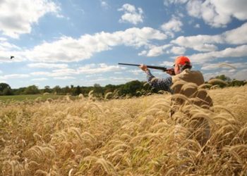 U Ljubuškom otvoren lov na prepelice, golubove i grlice