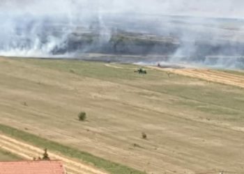 Požar u blizini Livna zahvatio polja žita