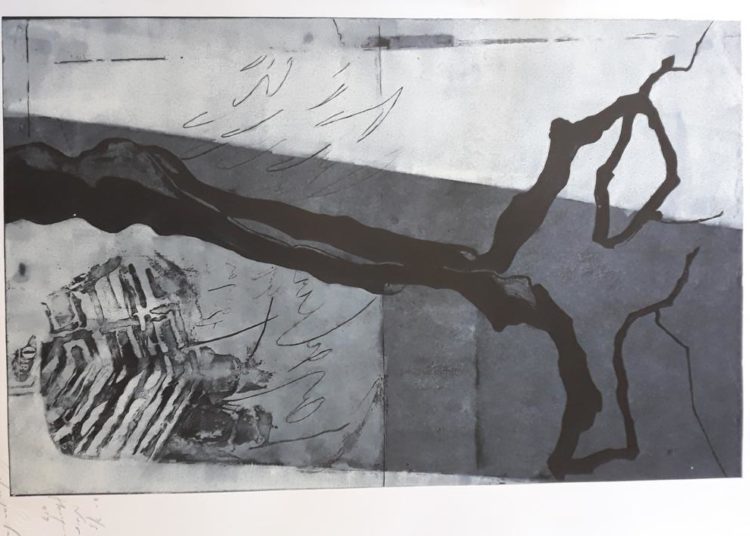 U galeriji Vrba otvorena samostalna izložba akademskog grafičara Darke Dugandžića