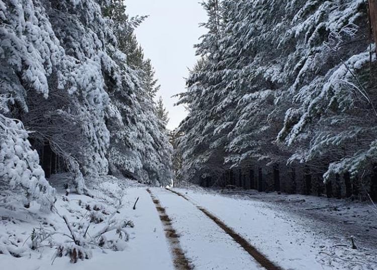 Foto: U Australiji pao snijeg, u pojedinim dijelovima i do metar visine