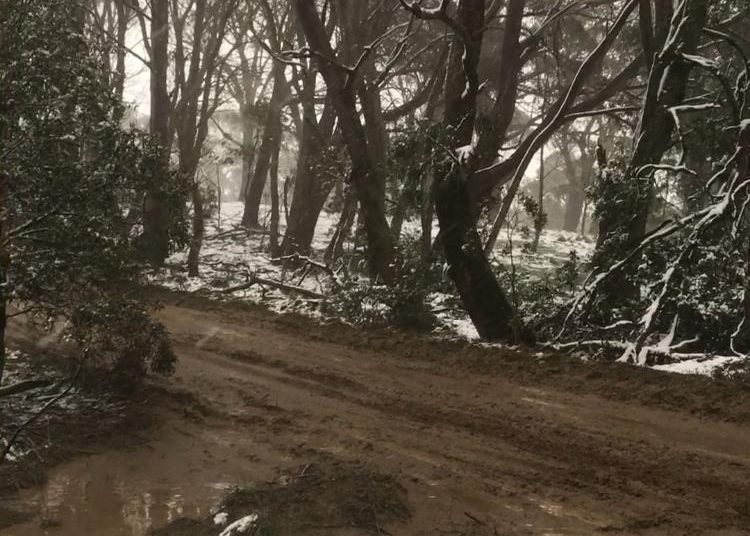 Foto: U Australiji pao snijeg, u pojedinim dijelovima i do metar visine