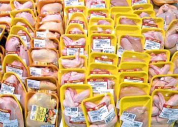 Domaće proizvođače uništava uvoz jeftine talijanske piletine