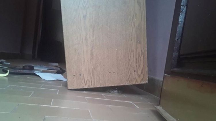 Zmija ušla u kuću i zavukla se ispod regala