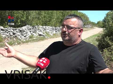 Domaći stočari u problemima: Tko će kupiti svinje i junad? (VIDEO)