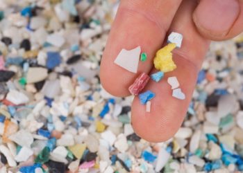 Nova studija otkrila mikroplastiku u ljudskim organima i u tkivu