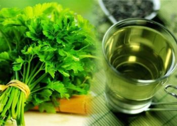 Jeste li probali čaj od peršina?
