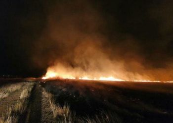 Veliki požar na Bišću polju