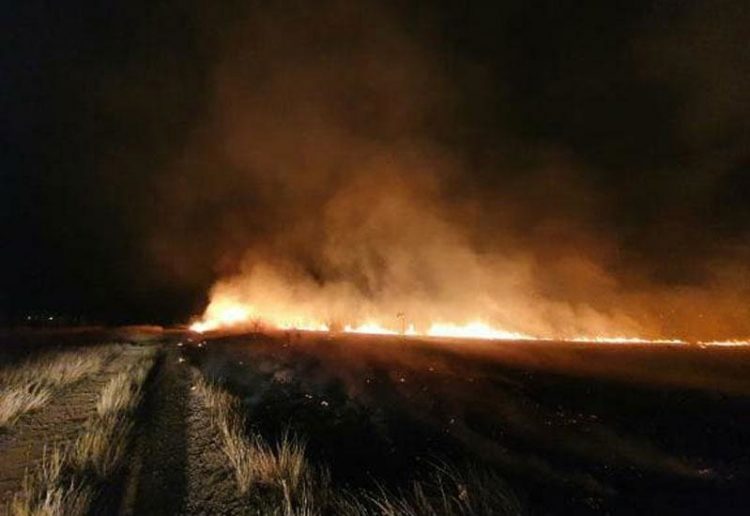 Veliki požar na Bišću polju