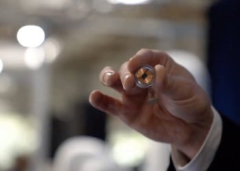 Elon Musk ugradio čip u mozak svinje – “Budućnost će biti čudna”