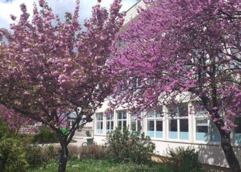 Posušje: Obavijest iz O.Š. Ivana Mažuranića Posušje