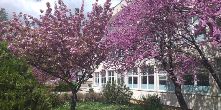 Posušje: Obavijest iz O.Š. Ivana Mažuranića Posušje