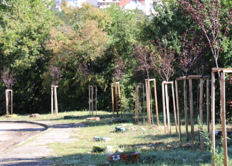 Prva osnovna škola Široki Brijeg dobila nove sanitarne čvorove, uređivale se i područne škole