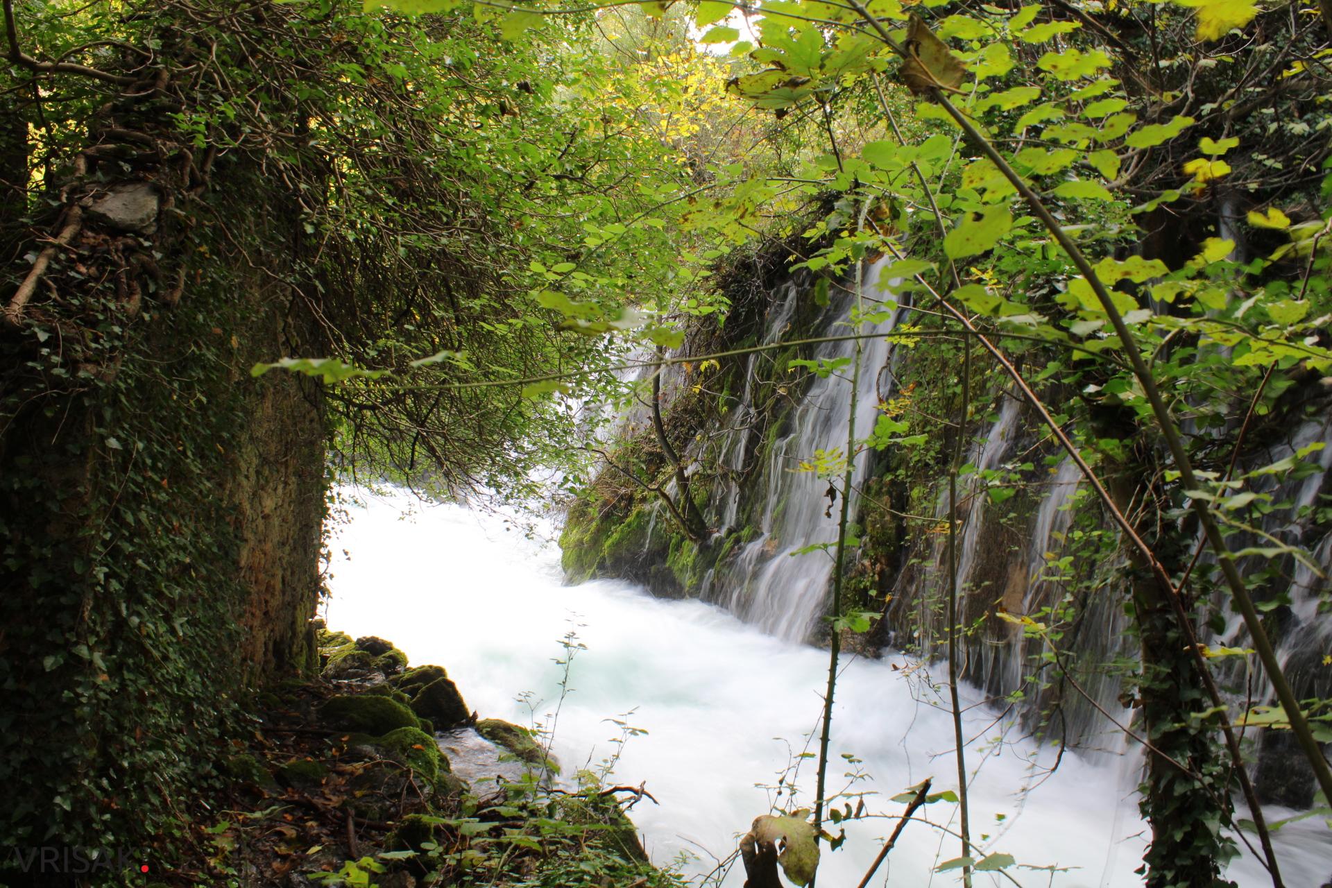 Procvjetao “vrisak” iznad hercegovačkog Macchu Picchua