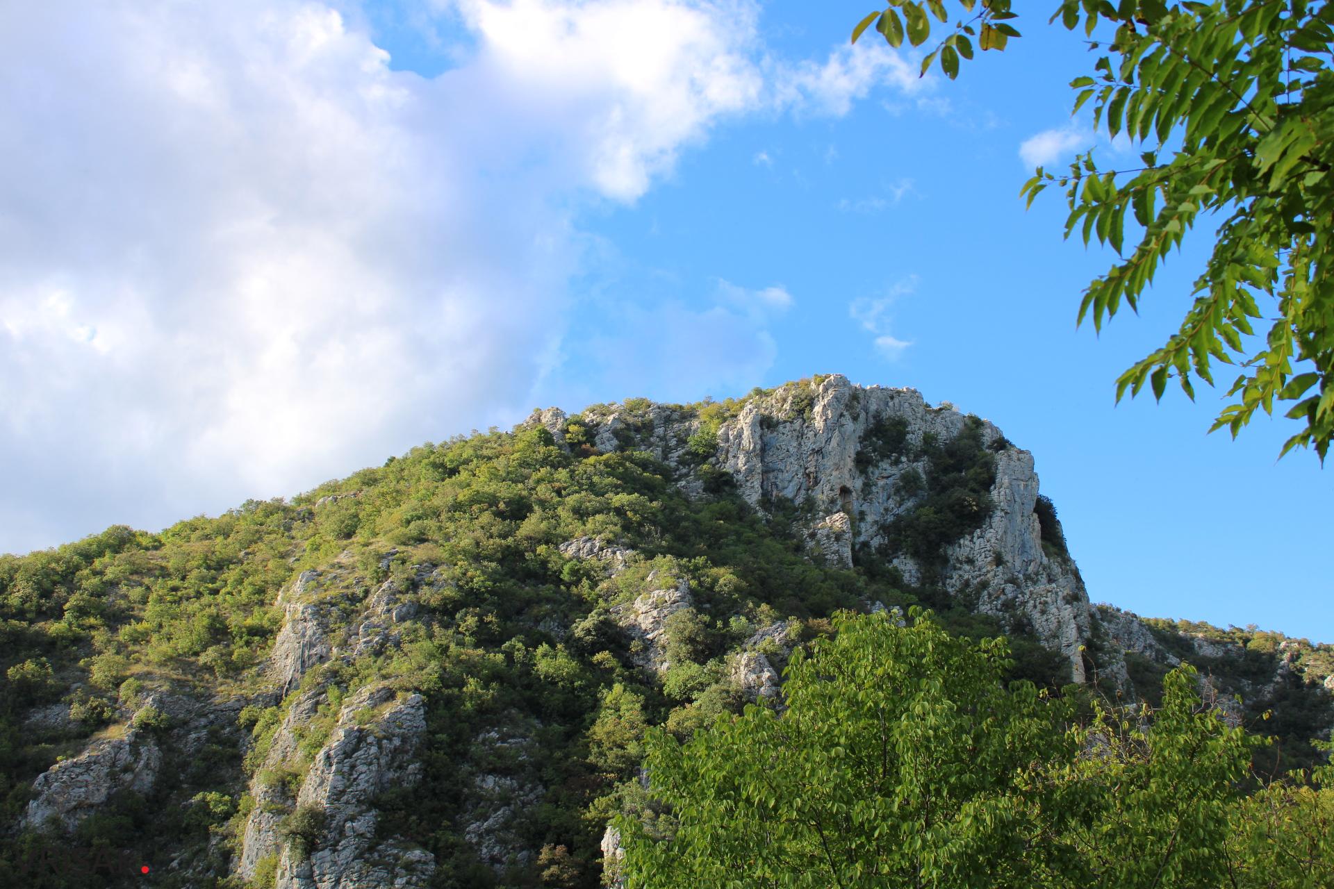 Procvjetao “vrisak” iznad hercegovačkog Macchu Picchua