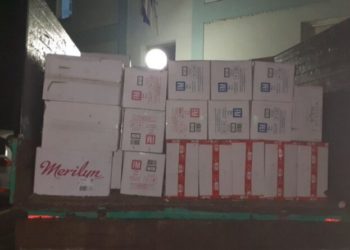 Posušanin ispod drva prevozio više od 40 tisuća kutija cigareta