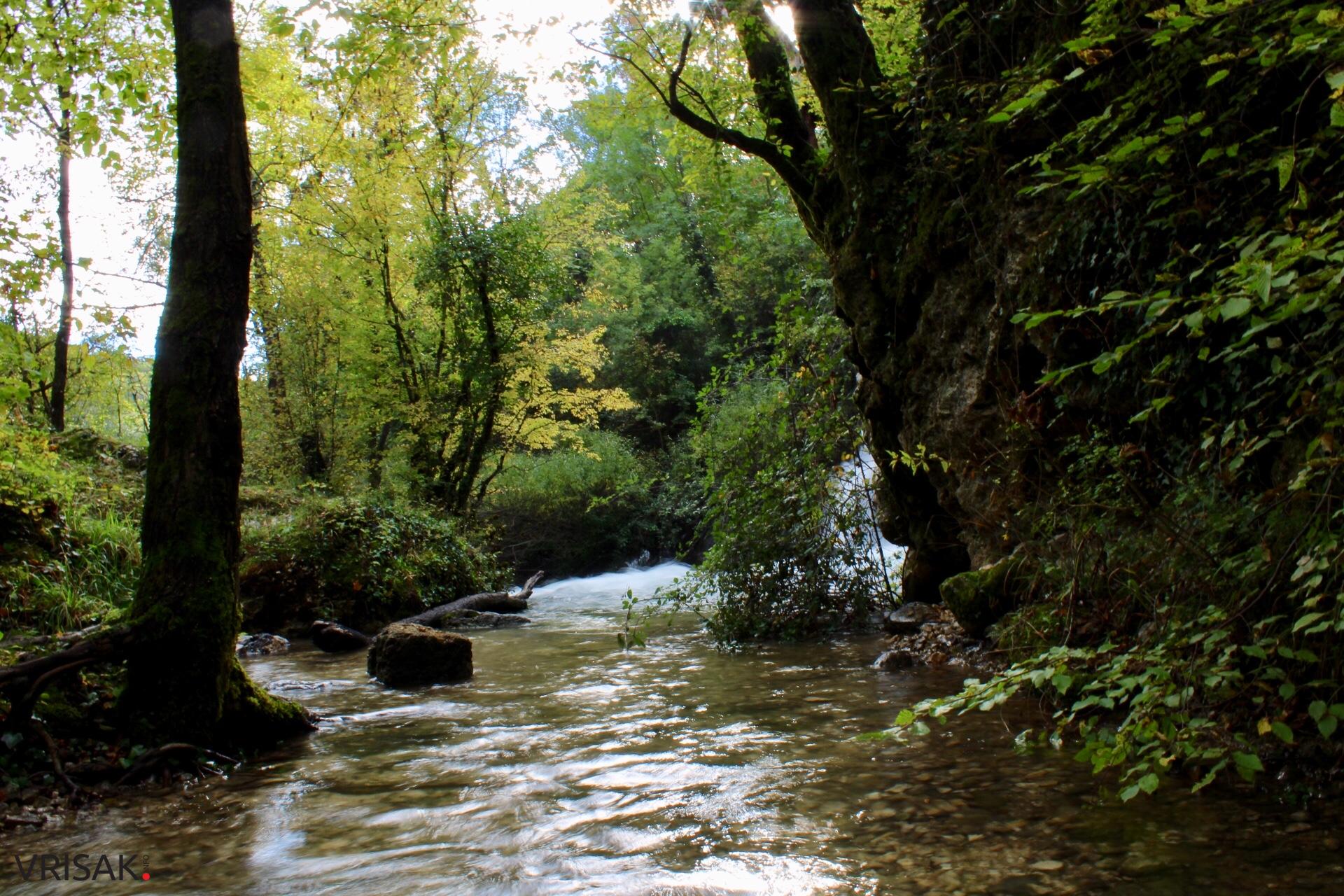 Procvjetao “vrisak” iznad hercegovačkog Macchu Picchua