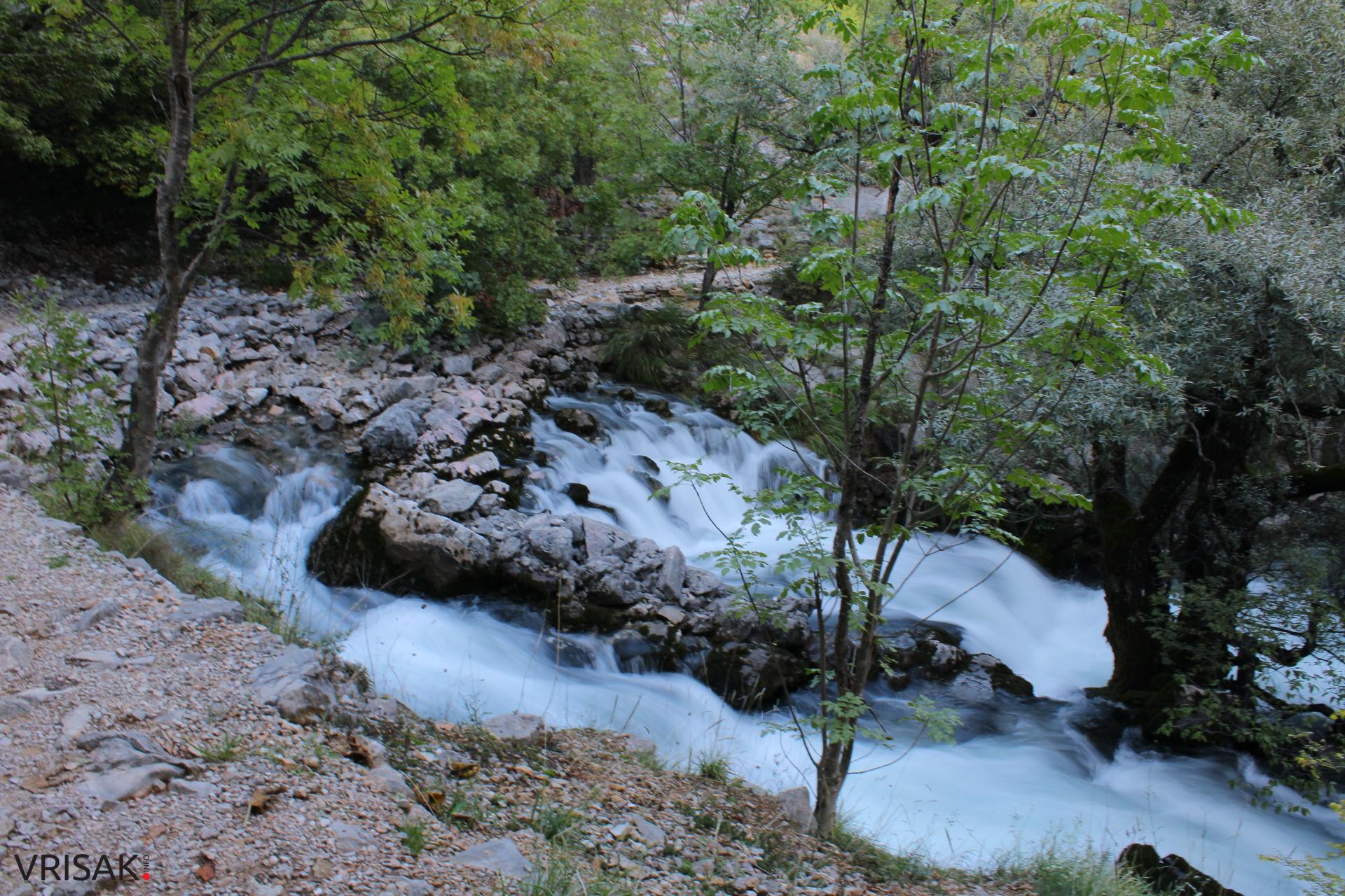 Procvjetao “vrisak” iznad hercegovačkog Macchu Picchua