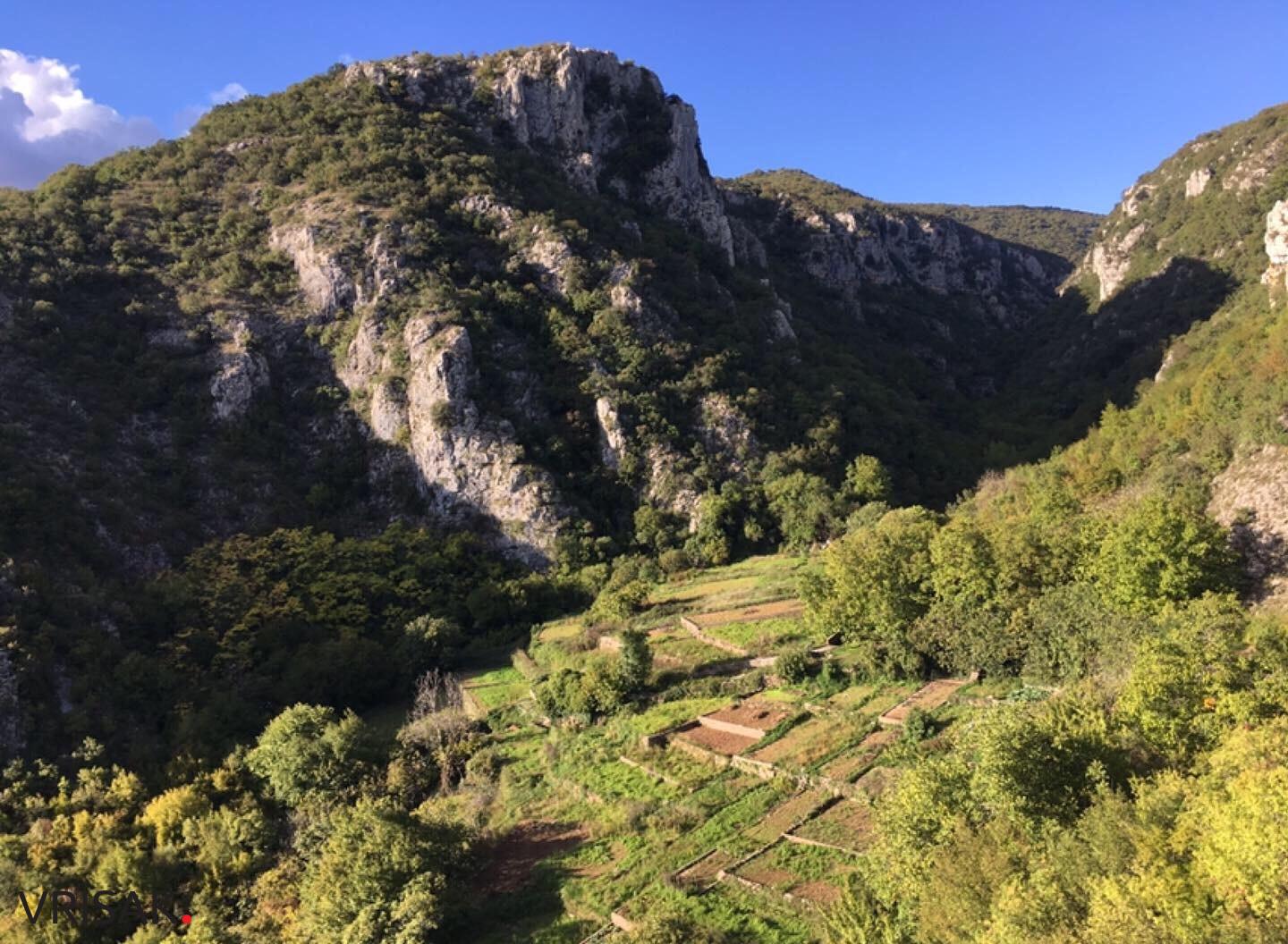 Procvjetao “vrisak” iznad hercegovačkog Macchu Picchua