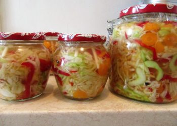 Priprema zimnice: Miješana salata