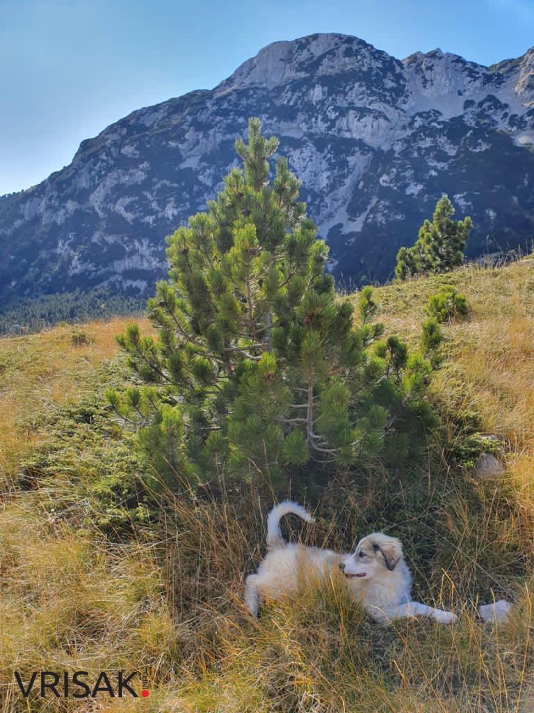 FOTO: Uživajte u prekrasnim kadrovima s Čvrsnice i Prenja