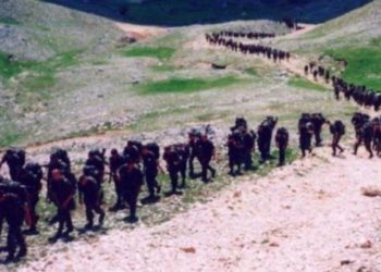 26. obljetnica oslobađanja Kupresa – ‘Operacija Cincar’