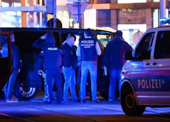 Među ranjenima u terorističkom napadu u Beču i jedna državljanka BiH