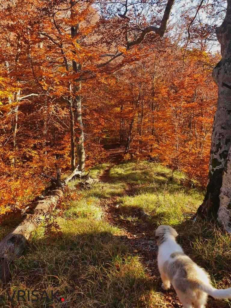 FOTO: Uživajte u prekrasnim kadrovima s Čvrsnice i Prenja