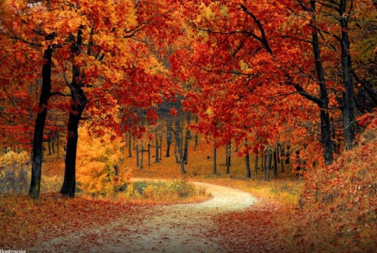 Kakvo nas vrijeme očekuje do kraja tjedna?