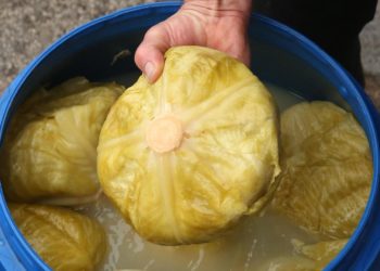 Tradicionalni način za kiseljenje kupusa