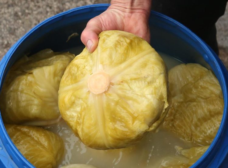 Tradicionalni način za kiseljenje kupusa