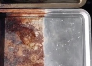 Odličan trik s kojim će zagorene posude za pečenje biti kao nove