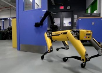 Kad već ne mogu ljudi, NASA bi na Mars poslala sljedeću najbolju stvar